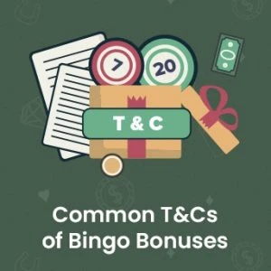 Common Terms and Conditions of Bingo Bonuses
