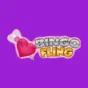 logo image for bingo fling